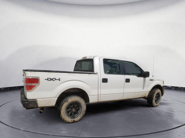 Photo 3 from auction – 2010 FORD F150 SUPER with VIN 1FTEW1E87AFA89847