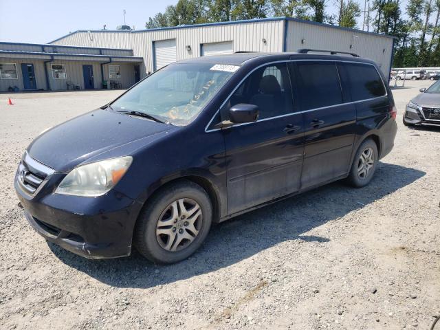 HONDA ODYSSEY EX 2005 with VIN 5FNRL38755B007570 - Photo from auction