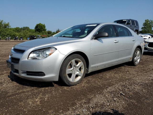 CHEVROLET MALIBU LS 2011 with VIN 1G1ZA5EU7BF134591 - Photo from auction