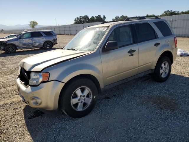 Photo 1 from auction – 2010 FORD ESCAPE XLT with VIN 1FMCU0DG6AKC24612