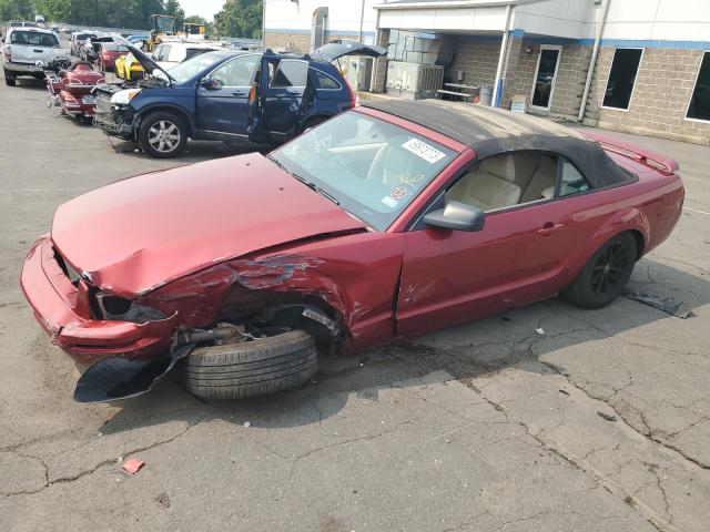 FORD MUSTANG 2005 with VIN 1ZVFT84N555188933 - Photo from auction