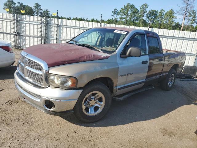 DODGE RAM 1500 2002 with VIN 1D7HA18NX2S594020 - Photo from auction