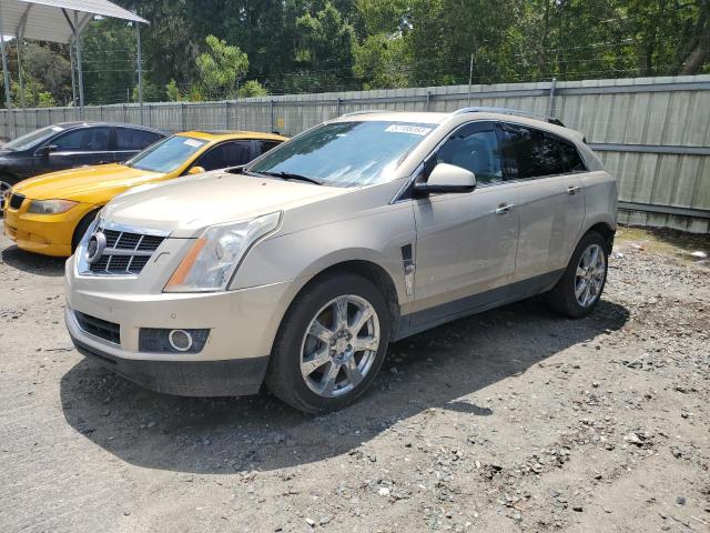CADILLAC SRX PERFOR 2011 with VIN 3GYFNBEY7BS510325 - Photo from auction