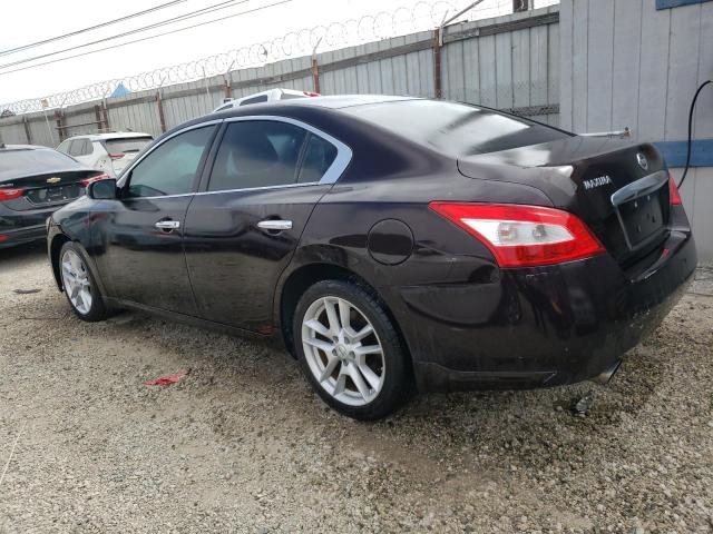 Photo 2 from auction – 2010 NISSAN MAXIMA S with VIN 1N4AA5AP2AC855931