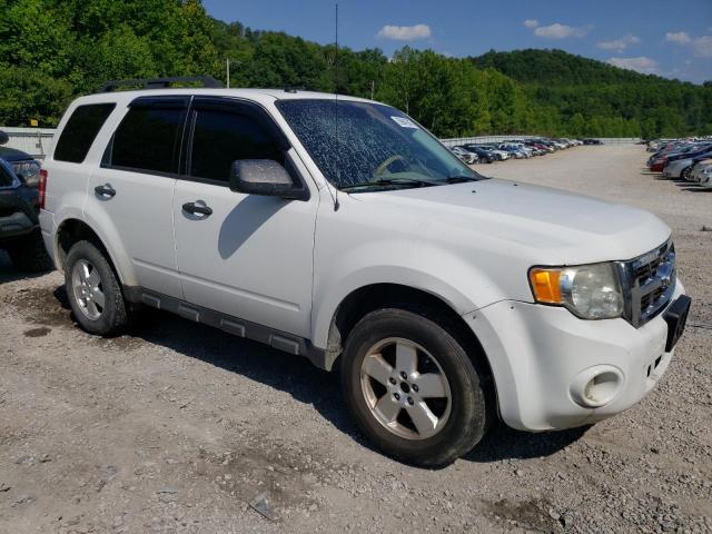 Photo 4 from auction – 2011 FORD ESCAPE with VIN 1FMCU0D72BKB92811