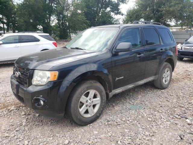 Photo 1 from auction – 2009 FORD ESCAPE HYB with VIN 1FMCU59349KB08985