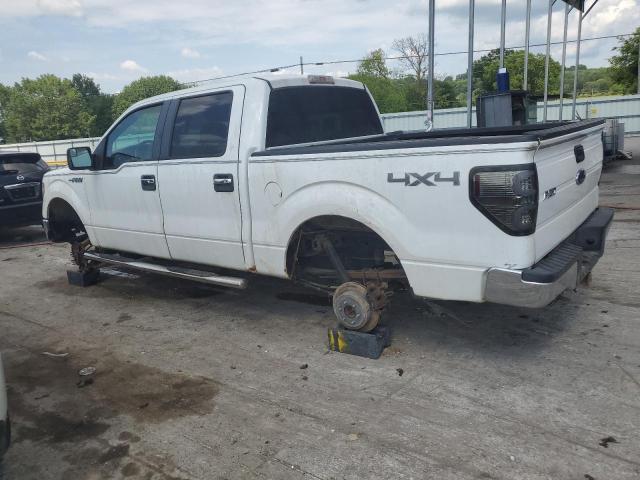 Photo 2 from auction – 2010 FORD F150 SUPER with VIN 1FTEW1E86AFA90181