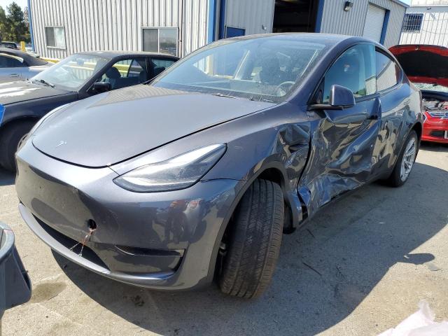 TESLA MODEL Y 2023 with VIN 7SAYGDEE2PF743395 - Photo from auction