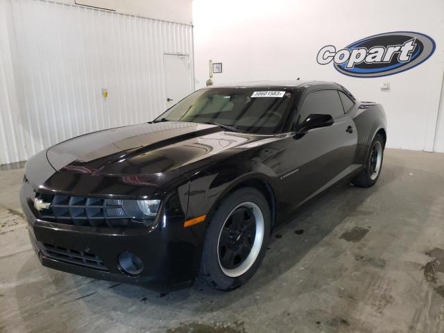 CHEVROLET CAMARO LS 2012 with VIN 2G1FE1E30C9185996 - Photo from auction