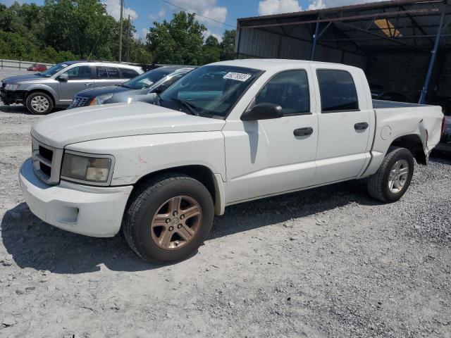 DODGE DAKOTA SLT 2011 with VIN 1D7RE3GK0BS579070 - Photo from auction