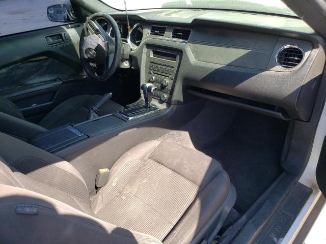 Photo 8 from auction – 2012 FORD MUSTANG with VIN 1ZVBP8EM7C5216902