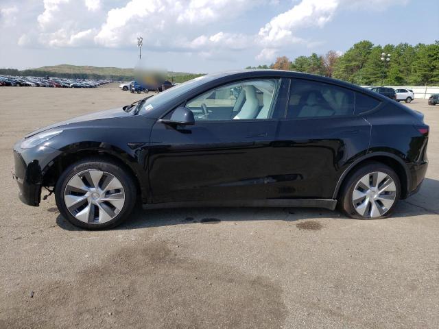 TESLA MODEL Y 2023 with VIN 7SAYGDEE1PA118516 - Photo from auction