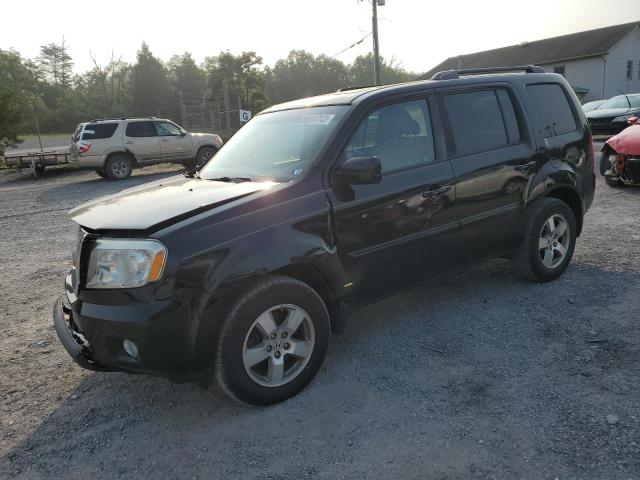 HONDA PILOT EXL 2011 with VIN 5FNYF4H60BB058289 - Photo from auction