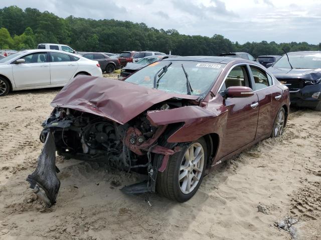 NISSAN MAXIMA S 2009 with VIN 1N4AA51E39C823824 - Photo from auction