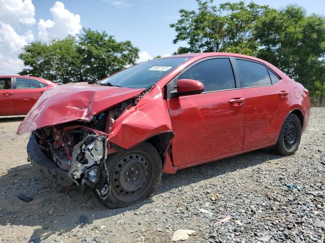 TOYOTA COROLLA L 2014 with VIN 2T1BURHEXEC103005 - Photo from auction
