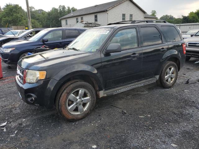 FORD ESCAPE XLT 2010 with VIN 1FMCU9D74AKA03093 - Photo from auction
