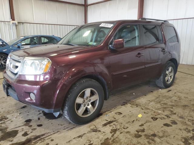 HONDA PILOT EXL 2011 with VIN 5FNYF4H5XBB008331 - Photo from auction