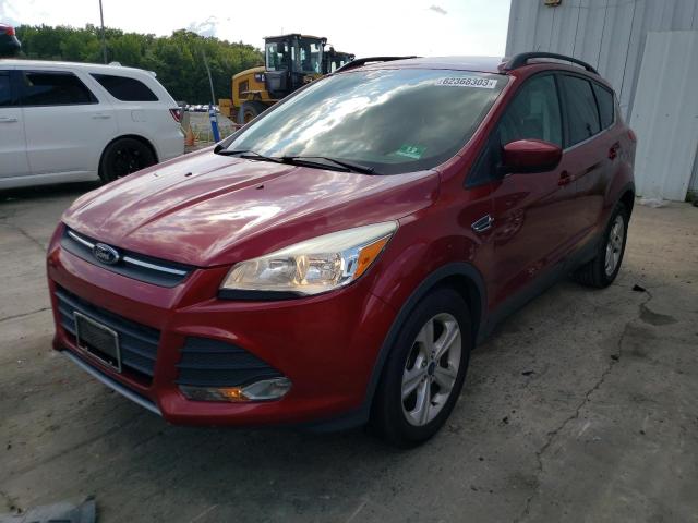 FORD ESCAPE SE 2014 with VIN 1FMCU0GX7EUD76811 - Photo from auction