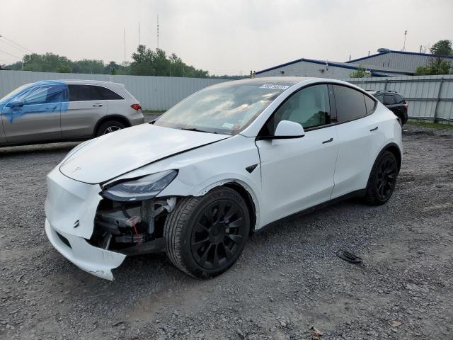 TESLA MODEL Y 2021 with VIN 5YJYGDEE9MF144227 - Photo from auction