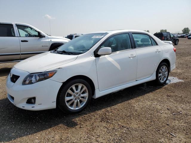 TOYOTA COROLLA BA 2010 with VIN 2T1BU4EEXAC199817 - Photo from auction