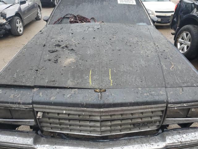 Photo 11 from auction – 1981 CHEVROLET CAPRICE CL with VIN 1G1AN47HXBJ247797