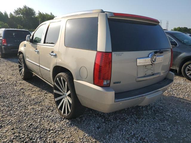 Photo 2 from auction – 2010 CADILLAC ESCALADE P with VIN 1GYUCCEF0AR239594