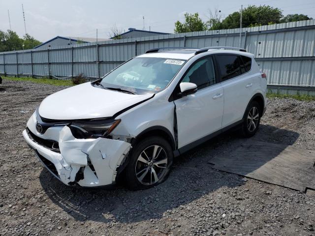 TOYOTA RAV4 XLE 2017 with VIN 2T3RFREV7HW620186 - Photo from auction