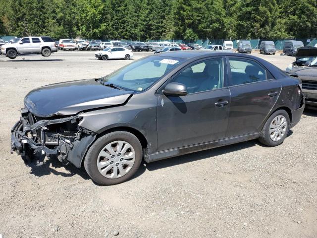 KIA FORTE EX 2012 with VIN KNAFU4A22C5491178 - Photo from auction