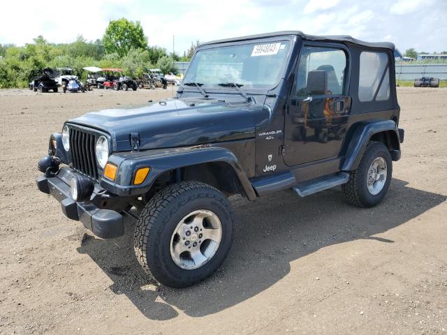 JEEP WRANGLER / 2001 with VIN 1J4FA49S51P354554 - Photo from auction