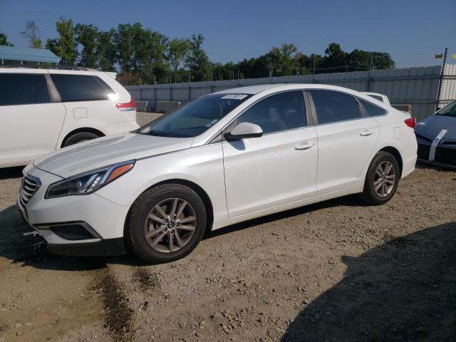 HYUNDAI SONATA SE 2016 with VIN 5NPE24AF0GH329823 - Photo from auction