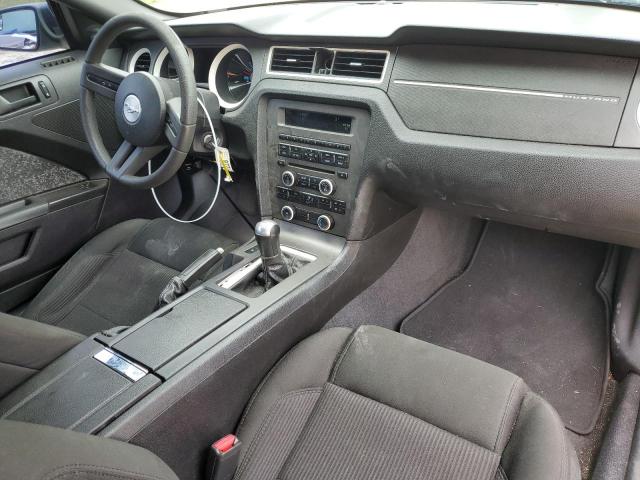 Photo 8 from auction – 2011 FORD MUSTANG with VIN 1ZVBP8AM4B5135604