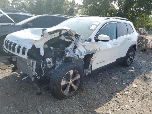 JEEP CHEROKEE L 2019 with VIN 1C4PJMDN0KD168693 - Photo from auction