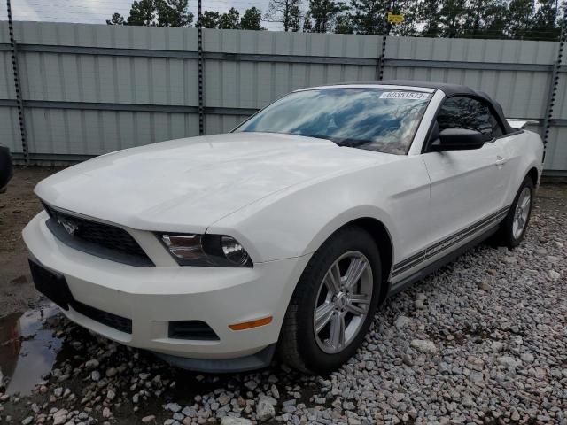 Photo 1 from auction – 2011 FORD MUSTANG with VIN 1ZVBP8EM6B5137722