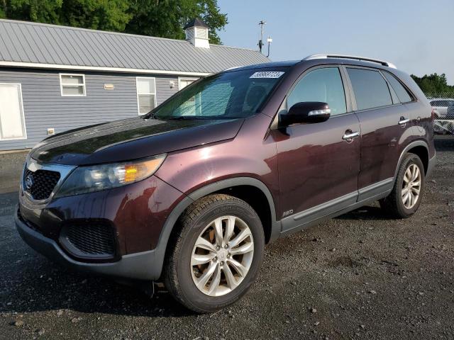 KIA SORENTO BA 2011 with VIN 5XYKTDA22BG099716 - Photo from auction