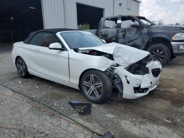 Photo 4 from auction – 2017 BMW 230XI with VIN WBA2M9C59HV717405