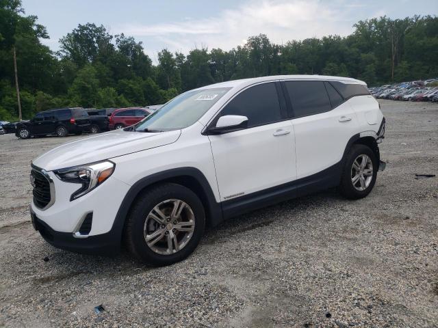 GMC TERRAIN SL 2019 with VIN 3GKALMEV3KL304876 - Photo from auction