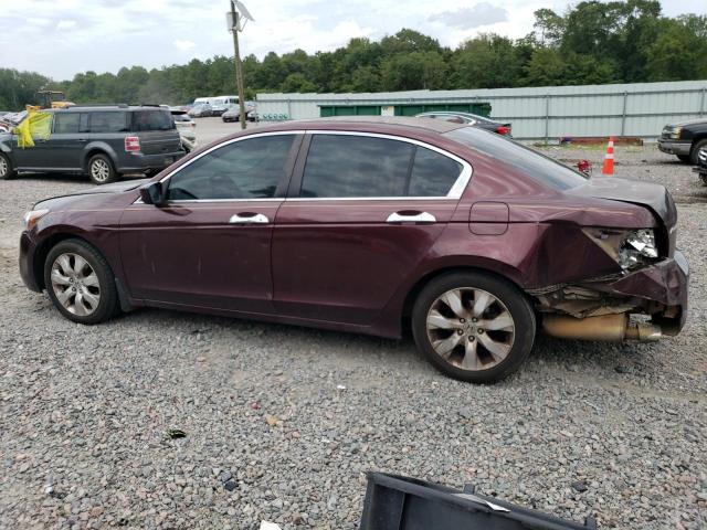 Photo 2 from auction – 2010 HONDA ACCORD EXL with VIN 5KBCP3F89AB013499