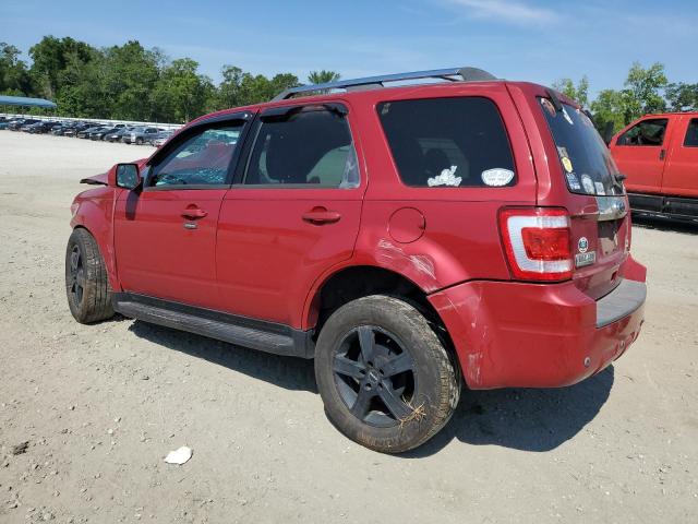Photo 2 from auction – 2010 FORD ESCAPE LIM with VIN 1FMCU0EGXAKB65384