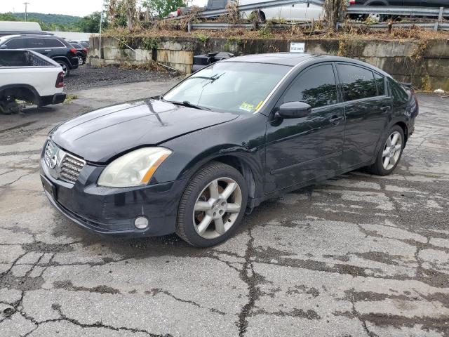NISSAN MAXIMA SE/ 2004 with VIN 1N4BA41E84C834003 - Photo from auction