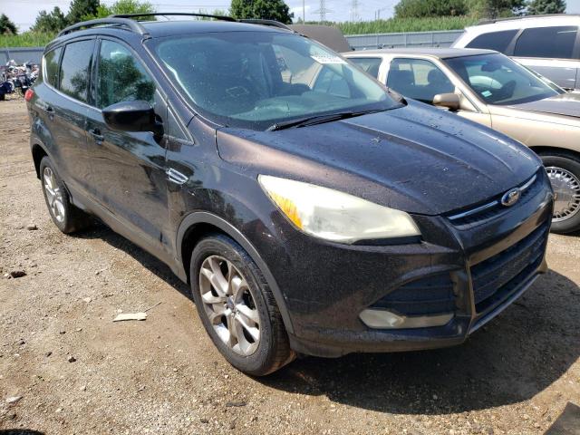 Photo 4 from auction – 2013 FORD ESCAPE SE with VIN 1FMCU0GX3DUD09203
