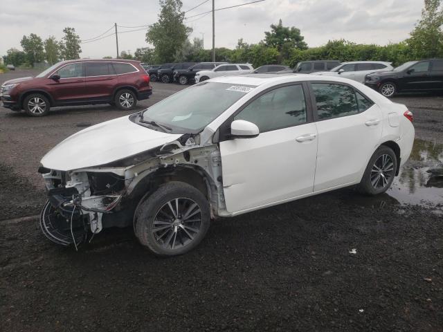 TOYOTA COROLLA L 2016 with VIN 2T1BURHE3GC690201 - Photo from auction