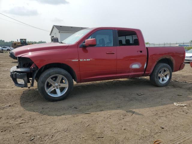 DODGE RAM 1500 2009 with VIN 1D3HV13T09S808258 - Photo from auction