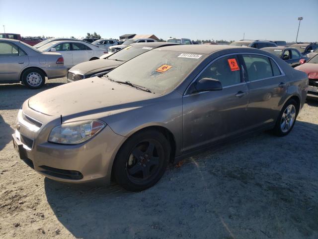 CHEVROLET MALIBU LS 2011 with VIN 1G1ZA5E1XBF320373 - Photo from auction