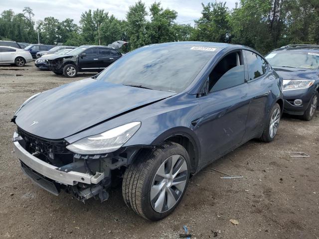 TESLA MODEL Y 2023 with VIN 7SAYGDEE1PA091320 - Photo from auction