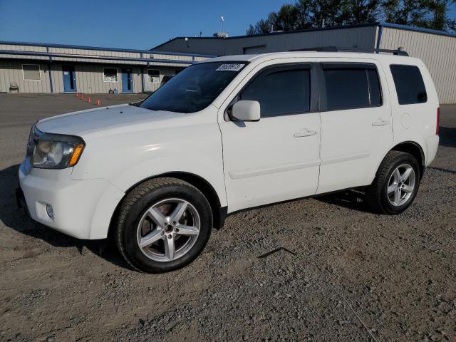 HONDA PILOT EXL 2010 with VIN 5FNYF4H55AB029912 - Photo from auction