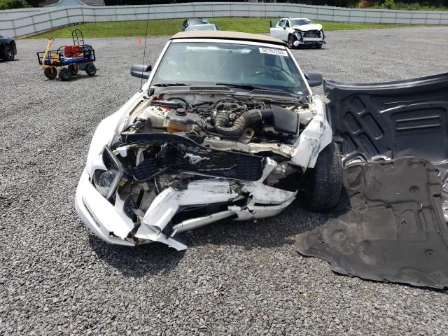 Photo 5 from auction – 2005 FORD MUSTANG with VIN 1ZVHT84N855253055