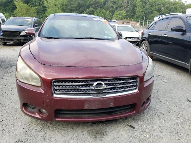Photo 5 from auction – 2011 NISSAN MAXIMA S with VIN 1N4AA5AP0BC825067