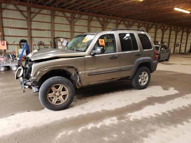JEEP LIBERTY SP 2004 with VIN 1J4GL48K04W124513 - Photo from auction