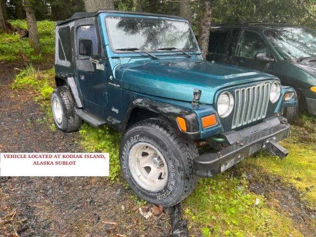 JEEP WRANGLER / 1997 with VIN 1J4FY29P9VP405619 - Photo from auction