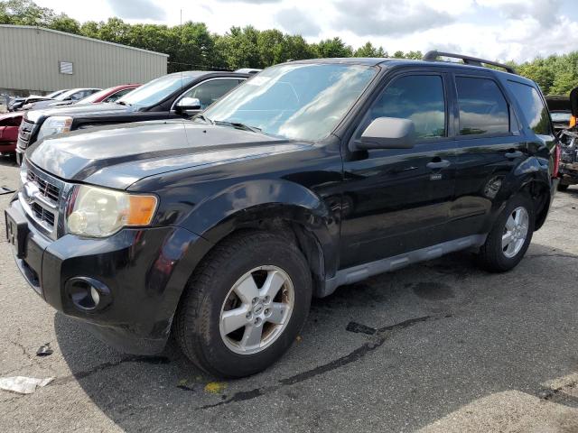 Photo 1 from auction – 2009 FORD ESCAPE XLT with VIN 1FMCU93G89KA55968